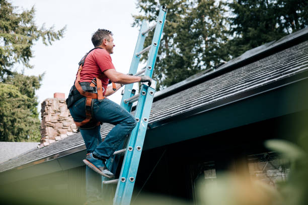 Best Chimney Flashing Repair  in Balfour, NC